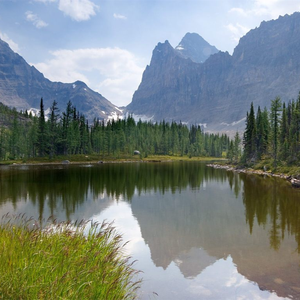 男男父子做爱视频免费观看
